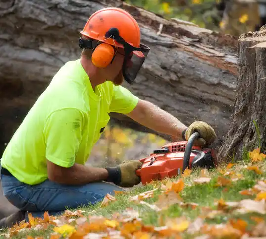 tree services Coldstream